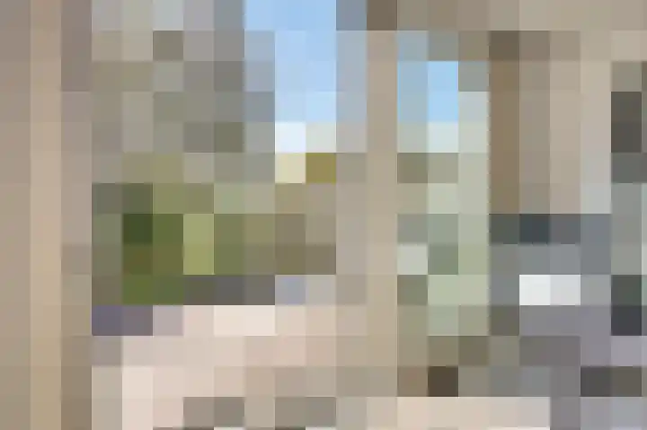 Majoraandonk 18 Spijkenisse thumbnail 10