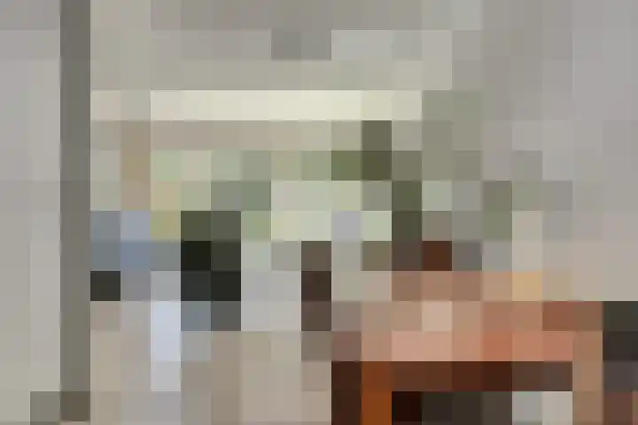Majoraandonk 18 Spijkenisse thumbnail 11