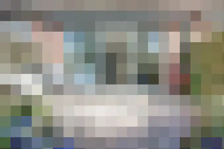 Majoraandonk 18 Spijkenisse thumbnail 12