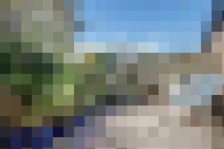 Majoraandonk 18 Spijkenisse thumbnail 13