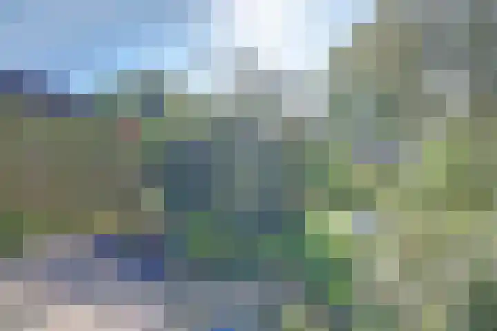 Majoraandonk 18 Spijkenisse thumbnail 14