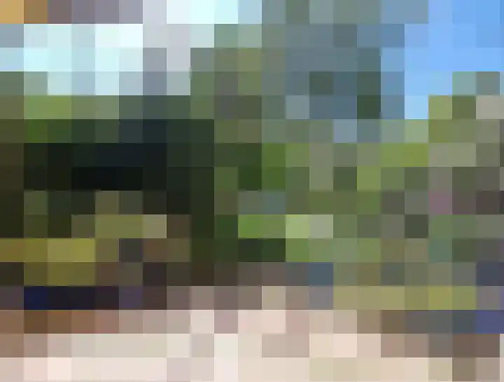 Majoraandonk 18 Spijkenisse thumbnail 16