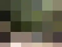 Majoraandonk 18 Spijkenisse thumbnail 18