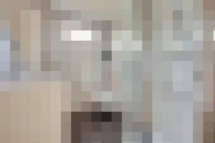Majoraandonk 18 Spijkenisse thumbnail 22