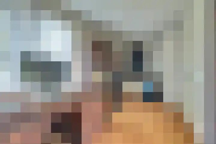 Majoraandonk 18 Spijkenisse thumbnail 29