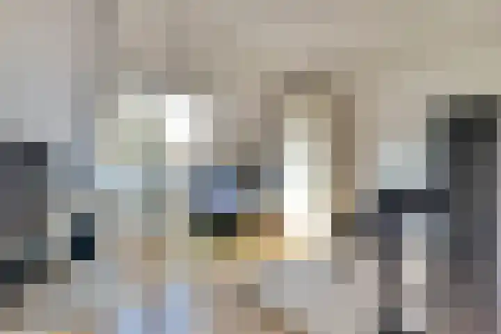 Majoraandonk 18 Spijkenisse thumbnail 31
