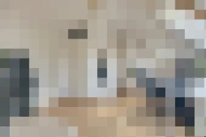 Majoraandonk 18 Spijkenisse thumbnail 33