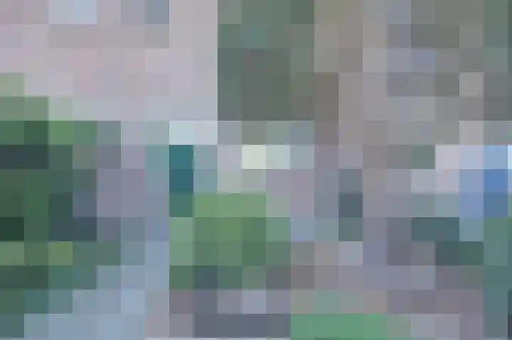Majoraandonk 18 Spijkenisse thumbnail 36