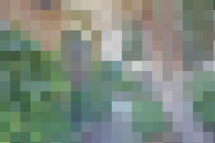 Majoraandonk 18 Spijkenisse thumbnail 37