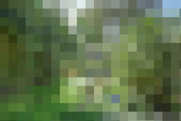 Majoraandonk 18 Spijkenisse thumbnail 39