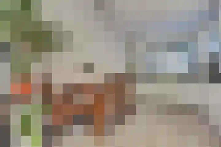 Majoraandonk 18 Spijkenisse thumbnail 4
