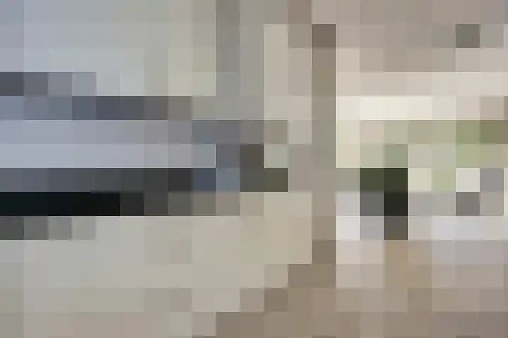 Majoraandonk 18 Spijkenisse thumbnail 5