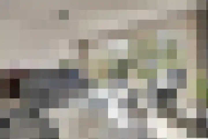 Majoraandonk 18 Spijkenisse thumbnail 6