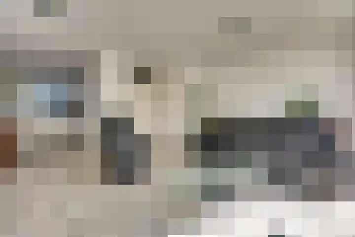 Majoraandonk 18 Spijkenisse thumbnail 7