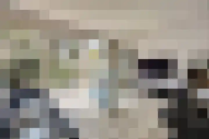 Majoraandonk 18 Spijkenisse thumbnail 9