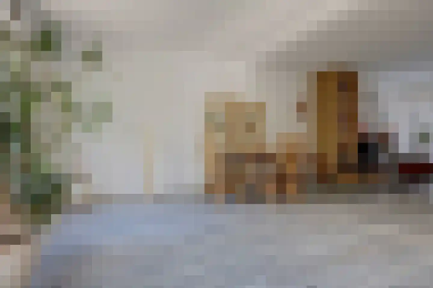 Majoraandonk 50 Spijkenisse thumbnail 11