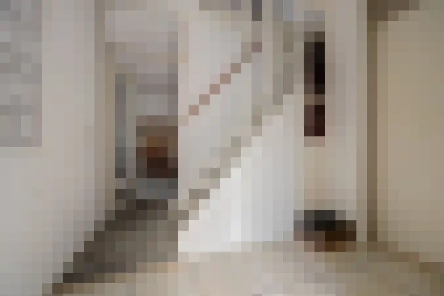 Majoraandonk 50 Spijkenisse thumbnail 13