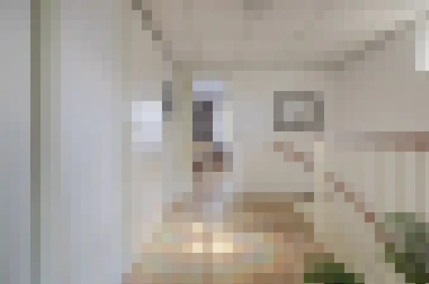 Majoraandonk 50 Spijkenisse thumbnail 14
