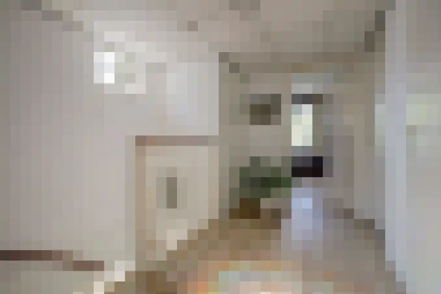 Majoraandonk 50 Spijkenisse thumbnail 15