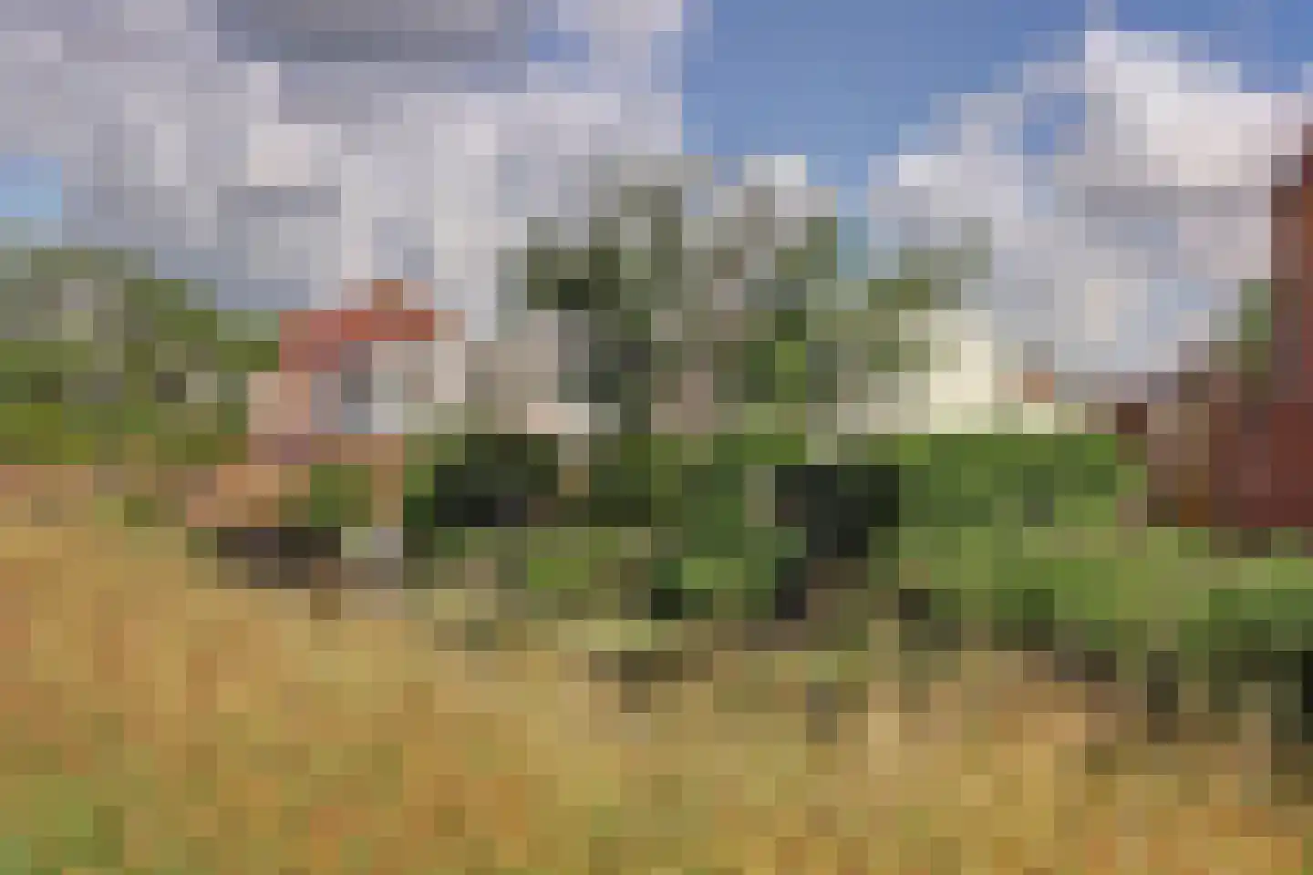 Majoraandonk 50 Spijkenisse thumbnail 29