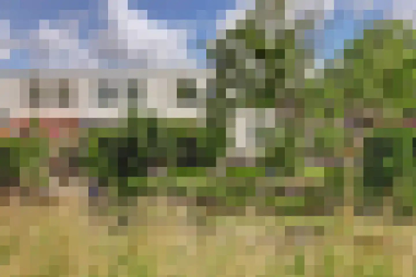 Majoraandonk 50 Spijkenisse thumbnail 30