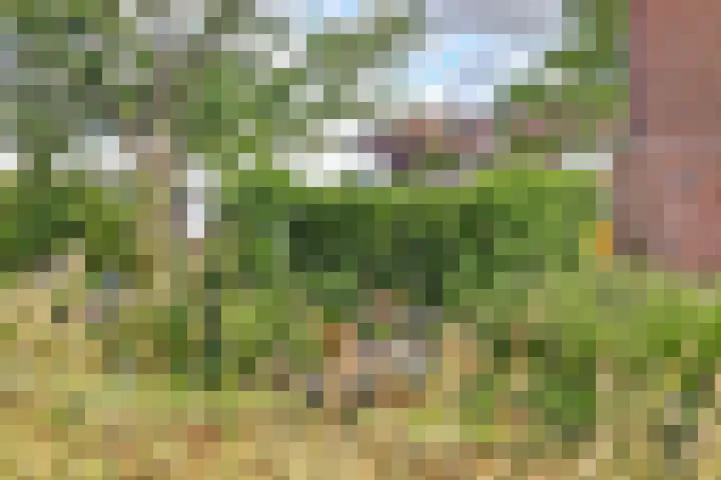 Majoraandonk 50 Spijkenisse thumbnail 32