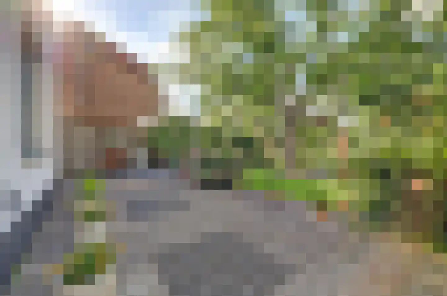 Majoraandonk 50 Spijkenisse thumbnail 33