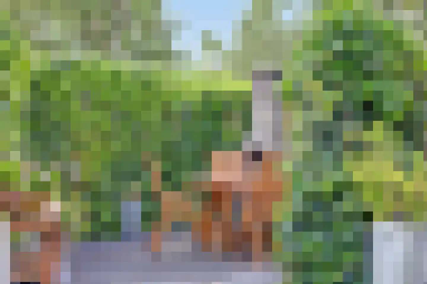 Majoraandonk 50 Spijkenisse thumbnail 36