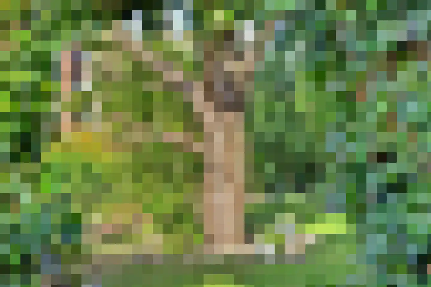 Majoraandonk 50 Spijkenisse thumbnail 38