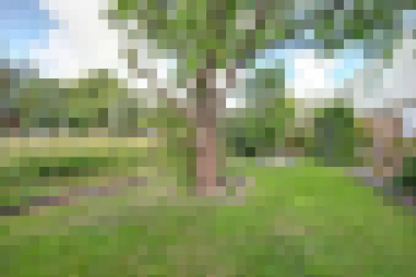 Majoraandonk 50 Spijkenisse thumbnail 39
