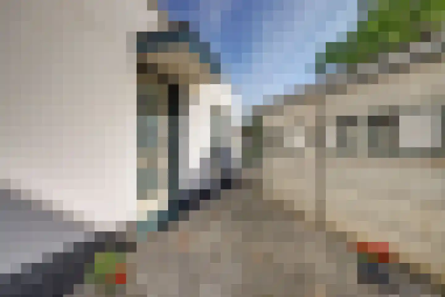 Majoraandonk 50 Spijkenisse thumbnail 4