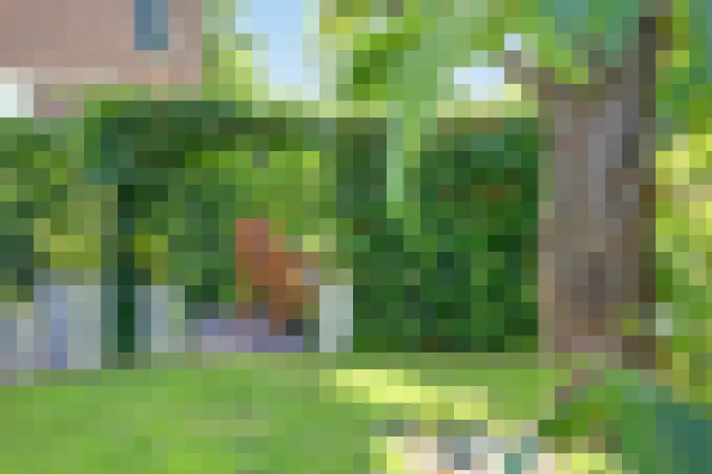 Majoraandonk 50 Spijkenisse thumbnail 42