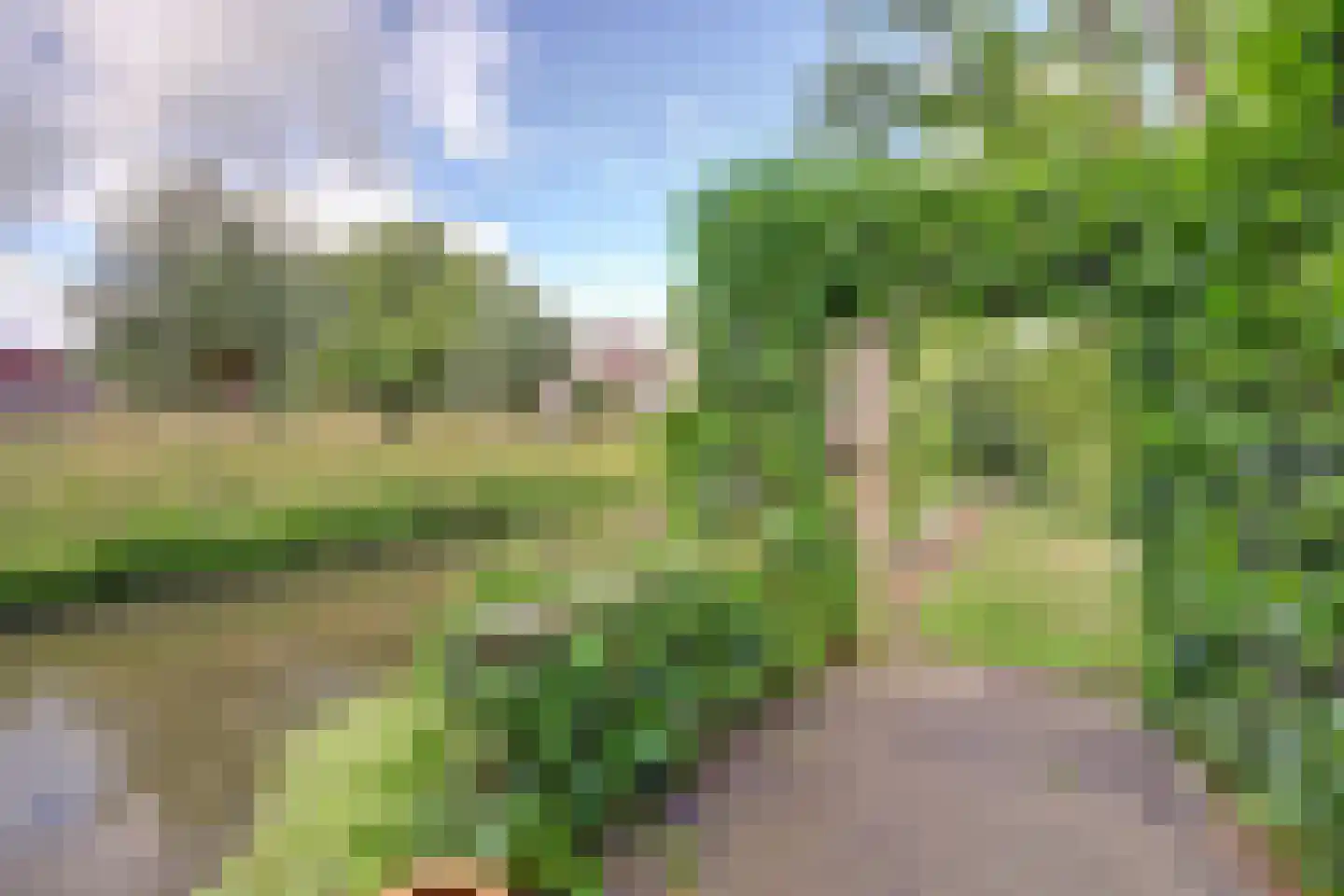 Majoraandonk 50 Spijkenisse thumbnail 44