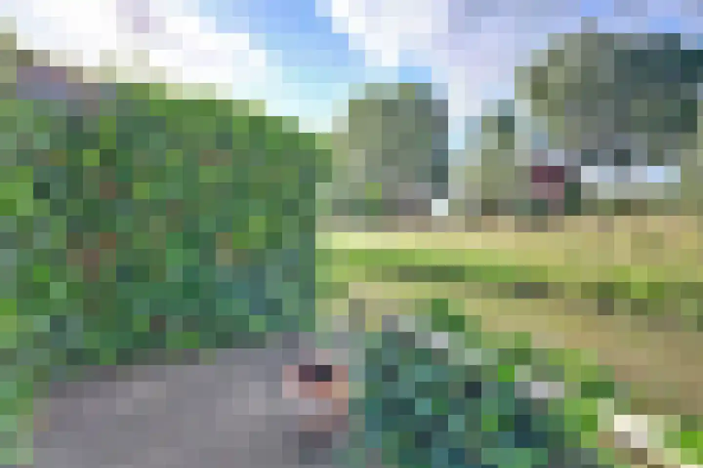 Majoraandonk 50 Spijkenisse thumbnail 45