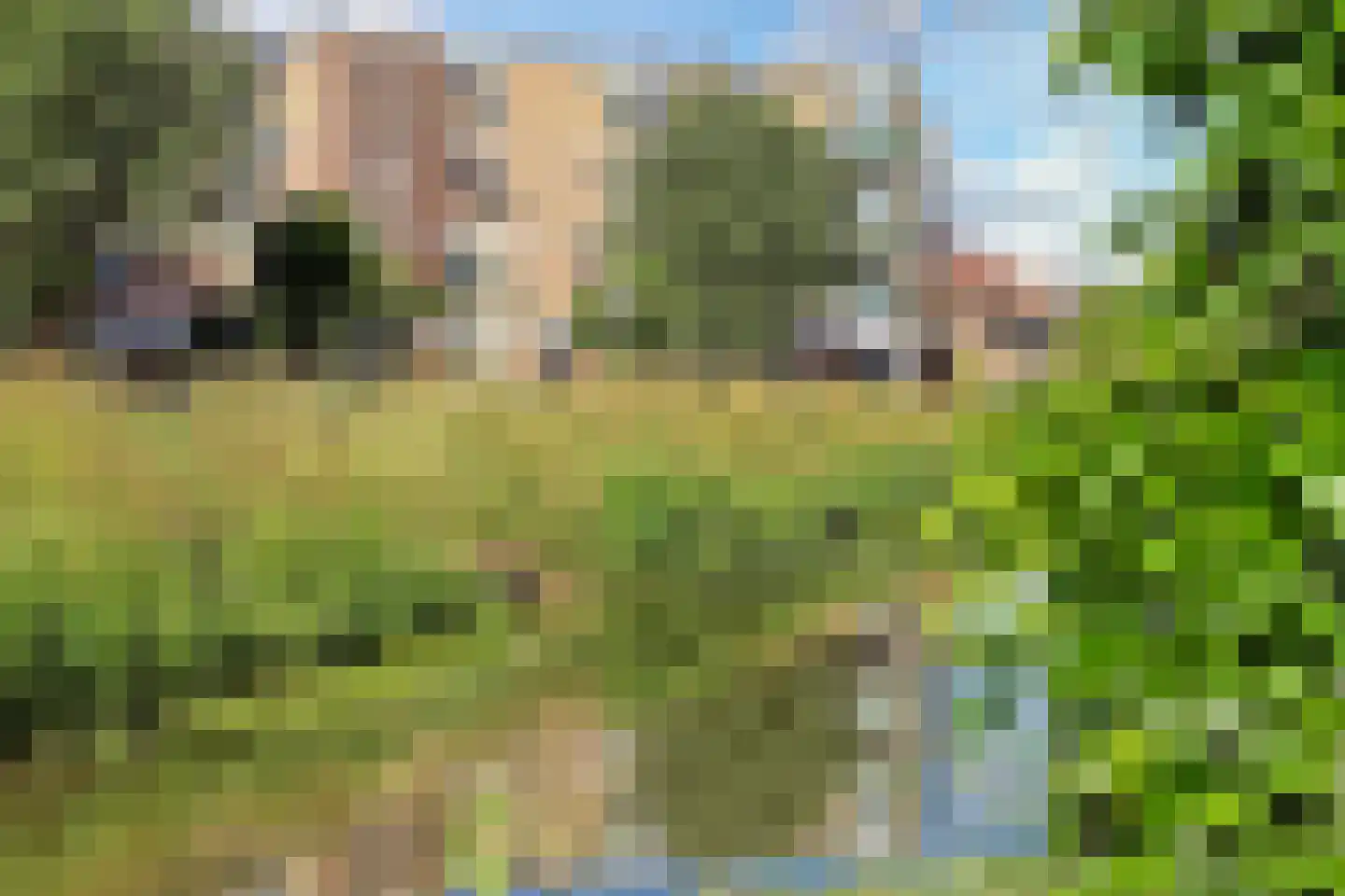 Majoraandonk 50 Spijkenisse thumbnail 47
