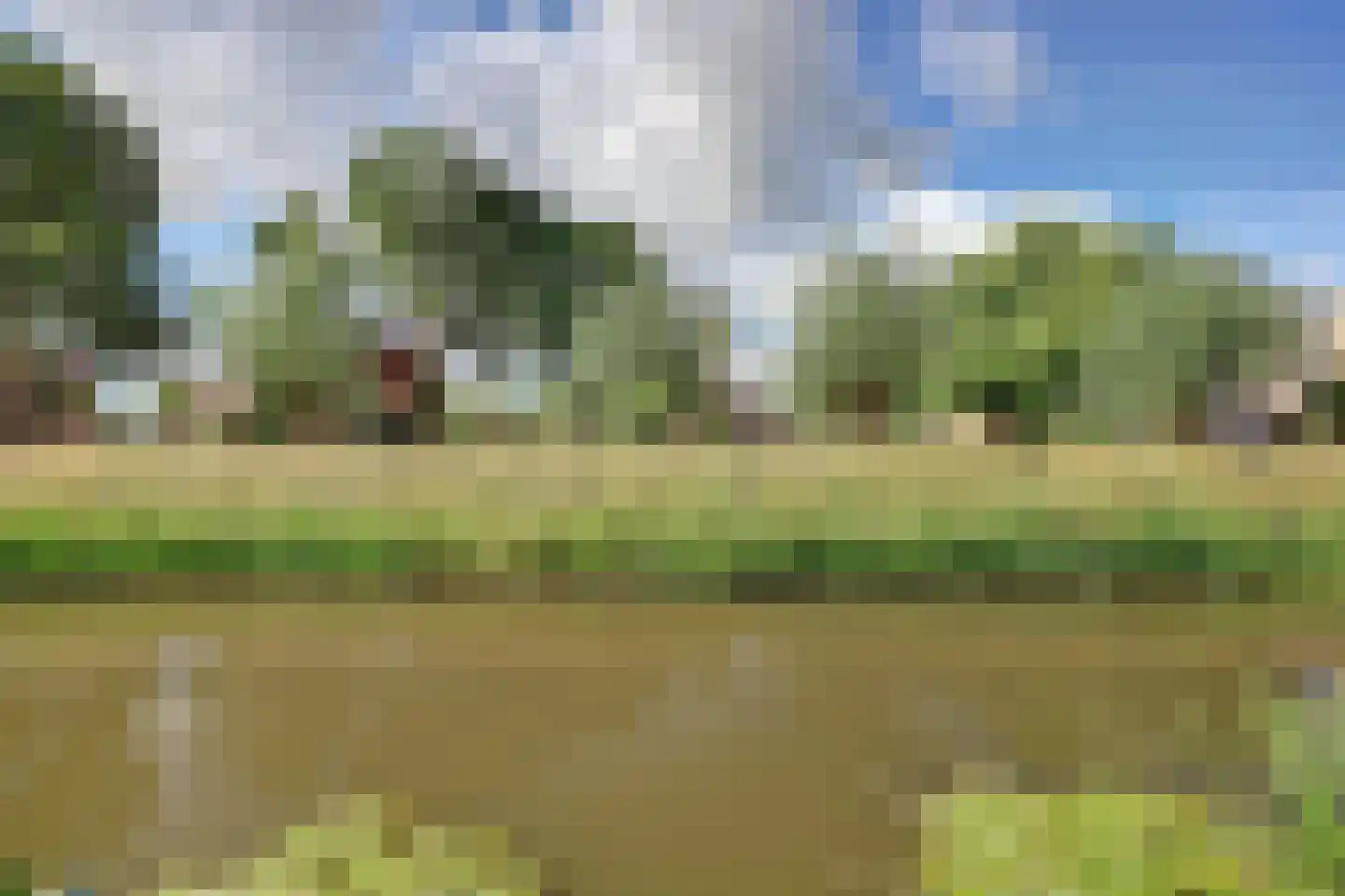 Majoraandonk 50 Spijkenisse thumbnail 48