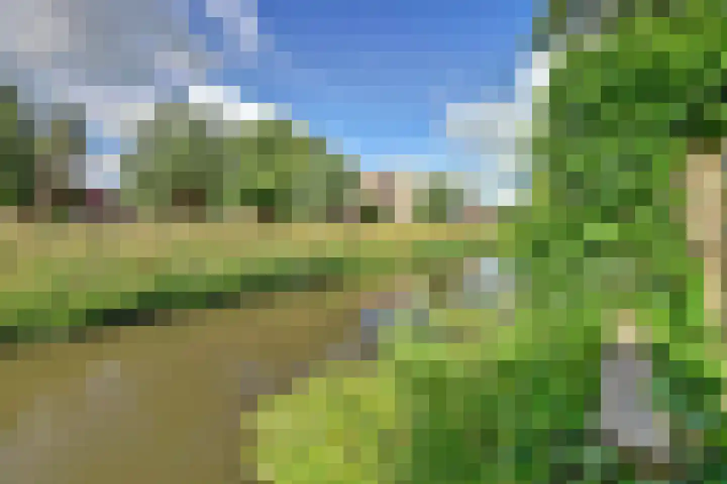 Majoraandonk 50 Spijkenisse thumbnail 49