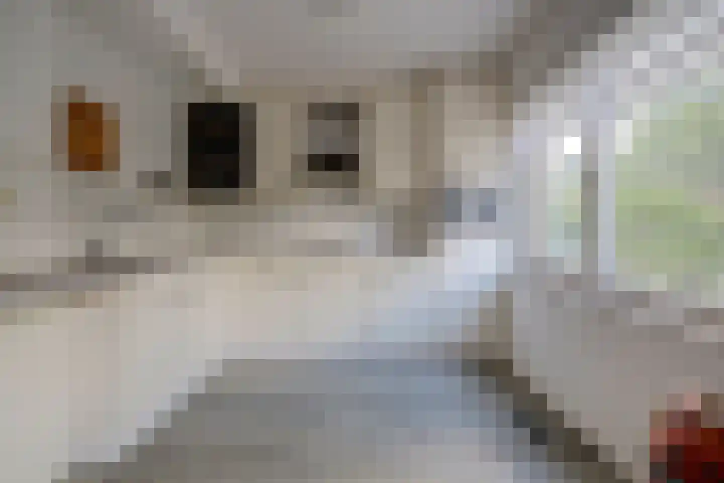 Majoraandonk 50 Spijkenisse thumbnail 5