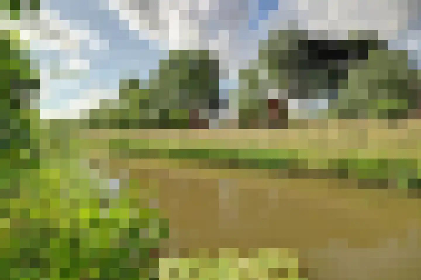 Majoraandonk 50 Spijkenisse thumbnail 50