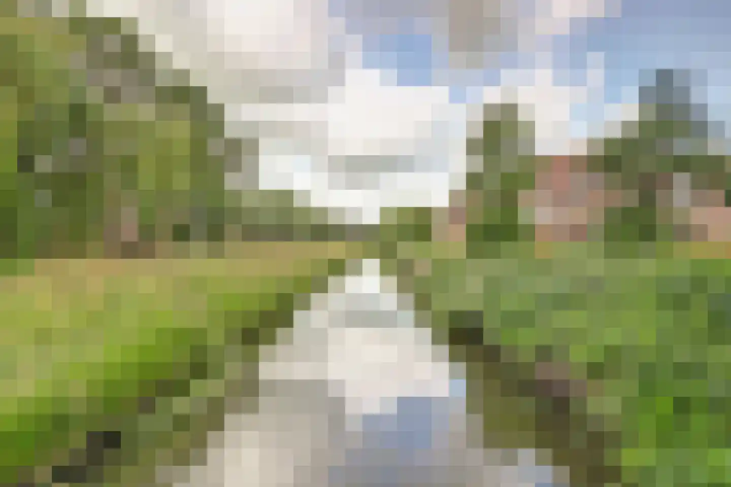 Majoraandonk 50 Spijkenisse thumbnail 51