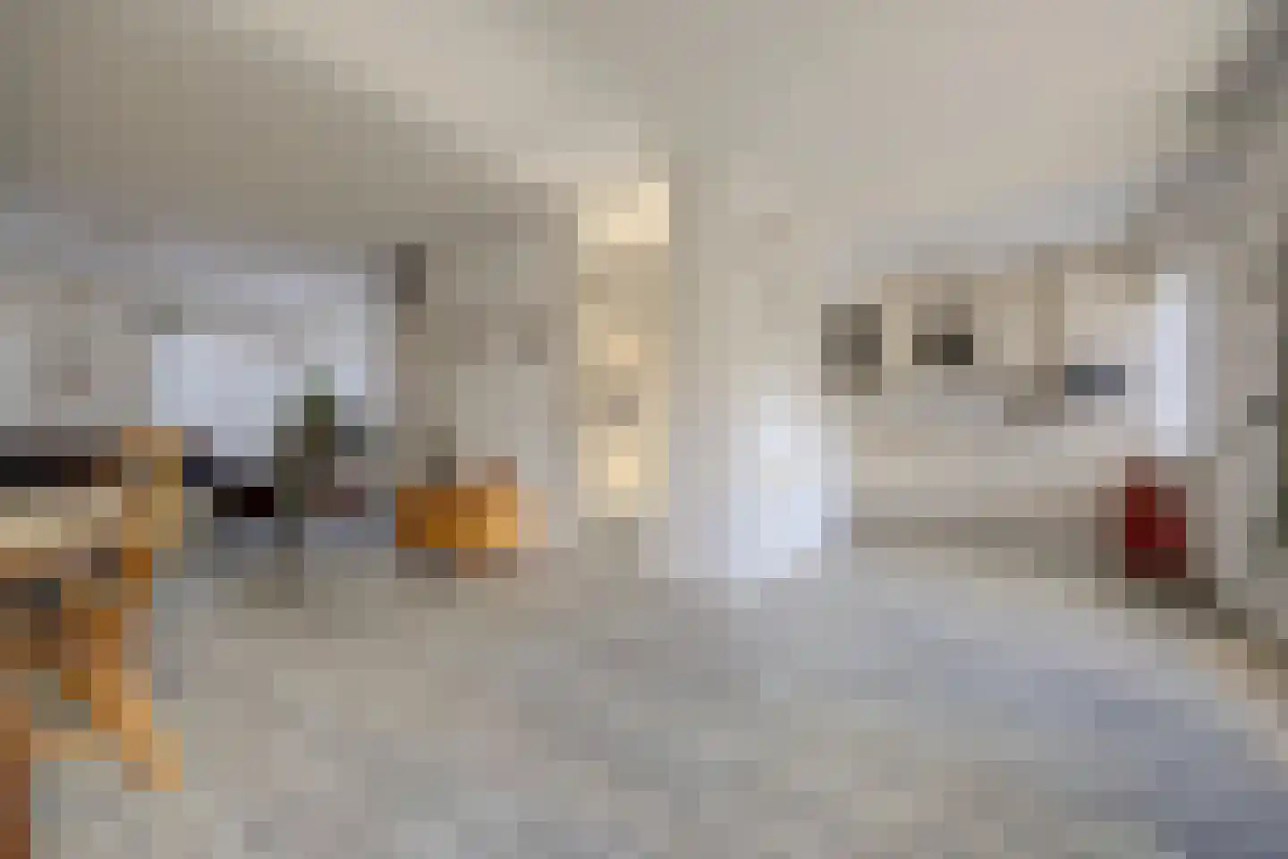 Majoraandonk 50 Spijkenisse thumbnail 9