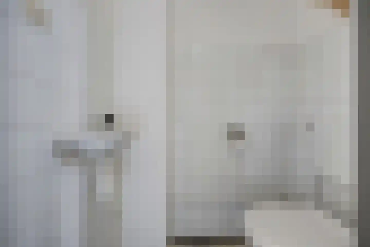 Majoraandonk 7 Spijkenisse thumbnail 19