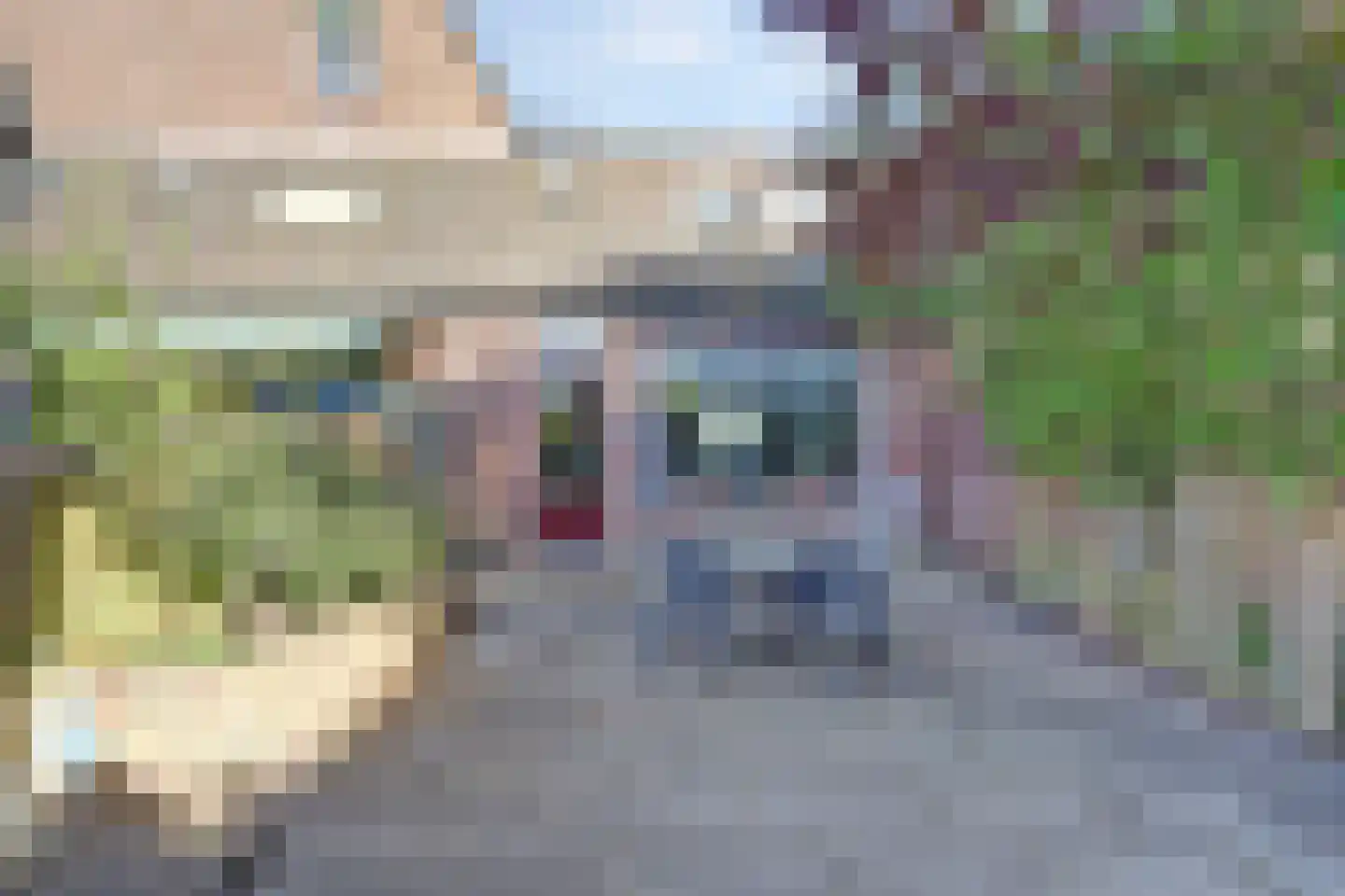 Majoraandonk 7 Spijkenisse thumbnail 20