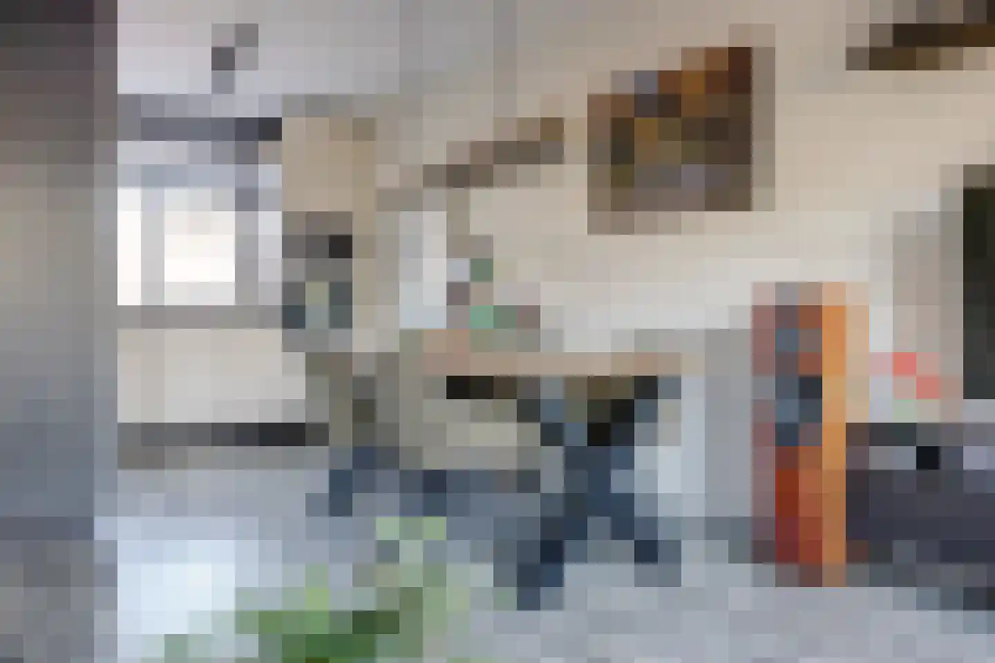 Majoraandonk 7 Spijkenisse thumbnail 5