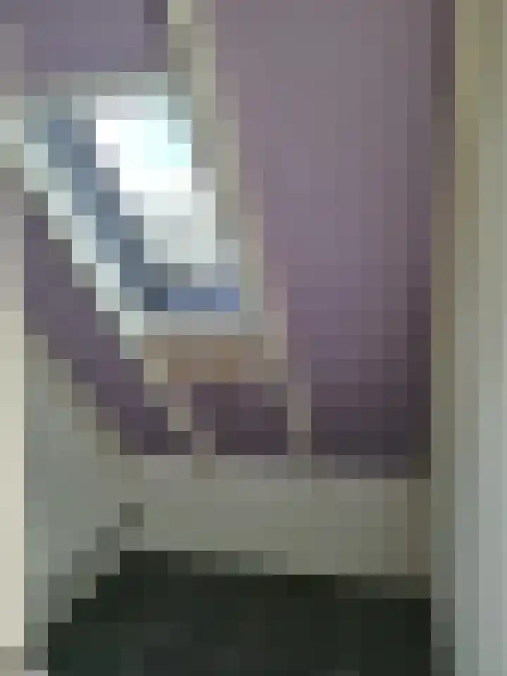 Majoraandonk 8 Spijkenisse thumbnail 10