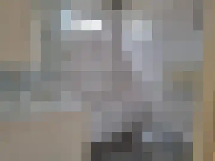 Majoraandonk 8 Spijkenisse thumbnail 11