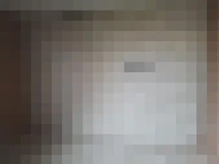 Majoraandonk 8 Spijkenisse thumbnail 12