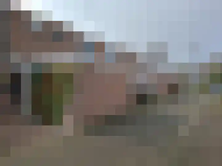 Majoraandonk 8 Spijkenisse thumbnail 15