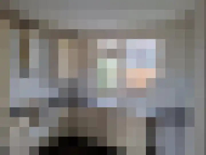 Majoraandonk 8 Spijkenisse thumbnail 4