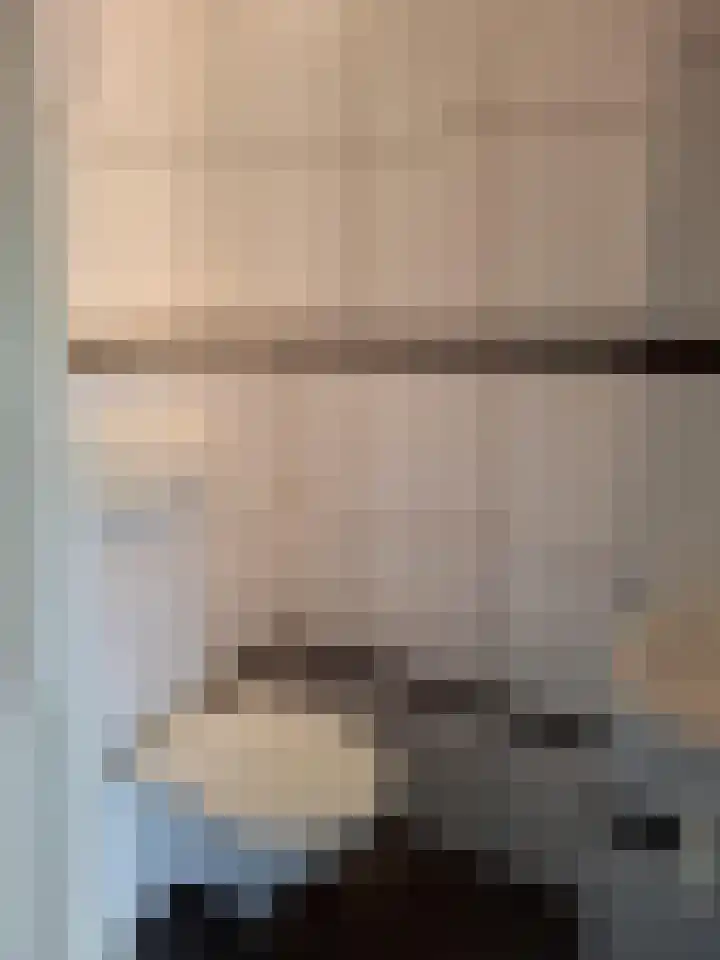 Majoraandonk 8 Spijkenisse thumbnail 5